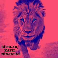 Katil Ninjalar - AuA "bipolar" (At Hırsızı remix)