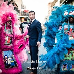 Martin Harley "Working For The Man"