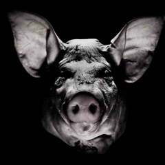 Pig - Shake (Rough Mix)