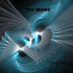 Tom Wanks - 01 Time Loop (album version)