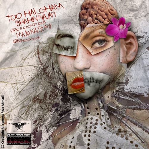 shahin najafi tu halgham