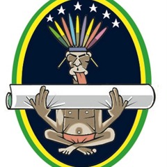 Guias Curadores (AGM)