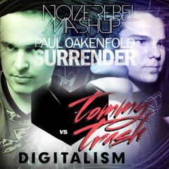 Paul Oakenfold & Digitalism vs. Tommy Trash - Surrender Falling (NoizeRebel Mashup)