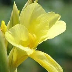 01 ชุมนุมเทวดา คุณชินกร ไกรลาศ