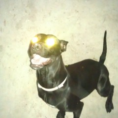 RemixHaRdTeK RaTaTekK