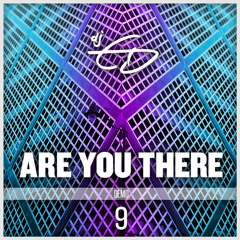 dem09 :: Are you there | 2012