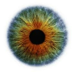 Ferenc Vaspoeri - Inyoureyes (Cut)