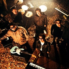 Polyester Embassy - Have You