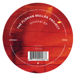 TER006 "Esquisse" The Florian Muller Project