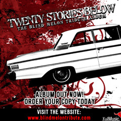 Superextra - 2x4 (Blind Melon Cover)