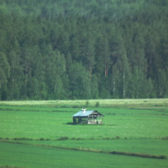 ROBOT BROBERG - Barbados Magnus (Video Version)
