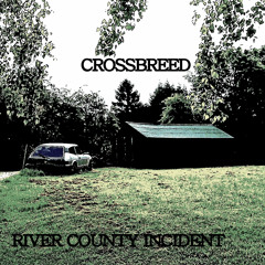 THE RIVER COUNTY INCIDENT   THE CROSSBREED AND BILL J FLYNN