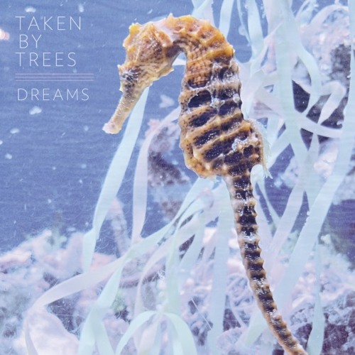 Taken By Trees - "Dreams" (Dub)