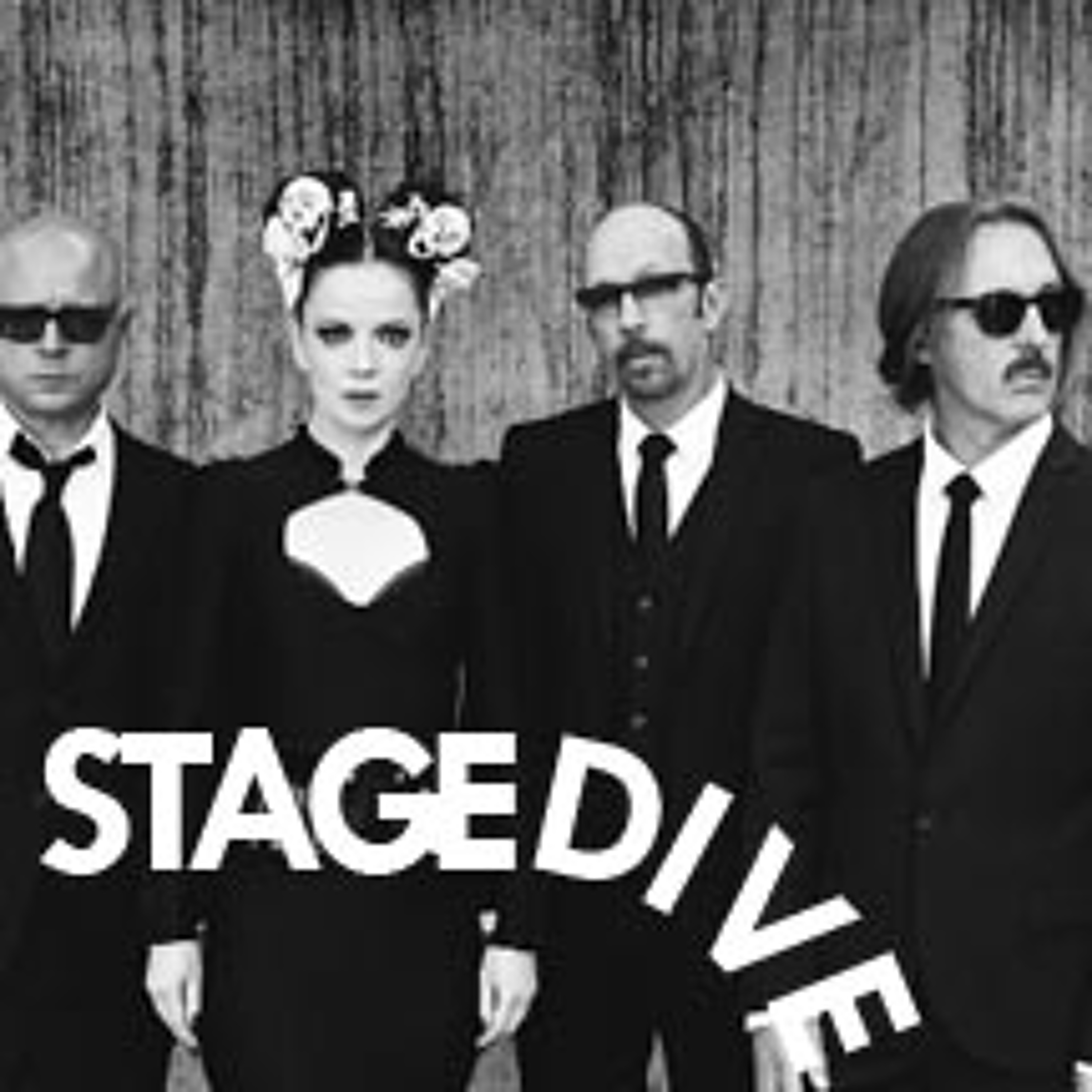 Stagedive -10- Garbage's Butch Vig