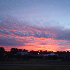 Steal My Kisses - Ben Harper Cover