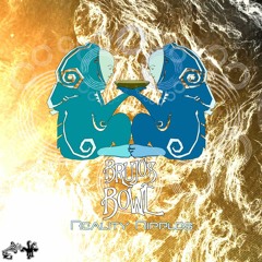 Broken Records 023 Brujos Bowl - Reality Ripples (Out Now)