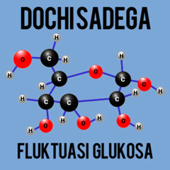 Dochi Sadega - fluktuasi glukosa