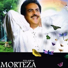 Morteza - Palange