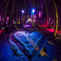 Electric Forest Festival 2012 Mix
