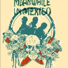 Meanwhile in Mexico - Surf Rider (The Lively Ones cover)