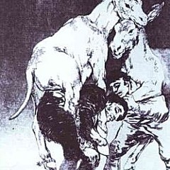 Żifna tal-Ħmar - Ħolma Qattusa