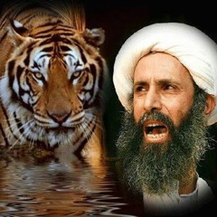 من القطيف للبحرين