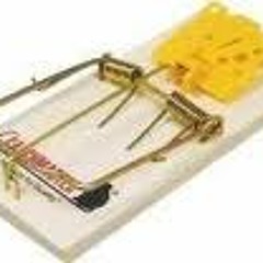 ode to a snitch .. Blackresin ft Fly Boy fresh