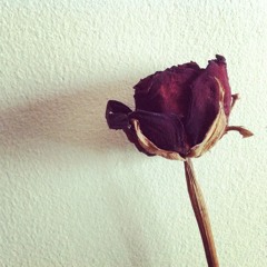 mizeryFree - Unreleased Material