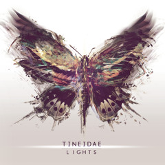 Tineidae - Observatory
