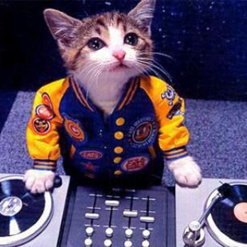 Electrohouse