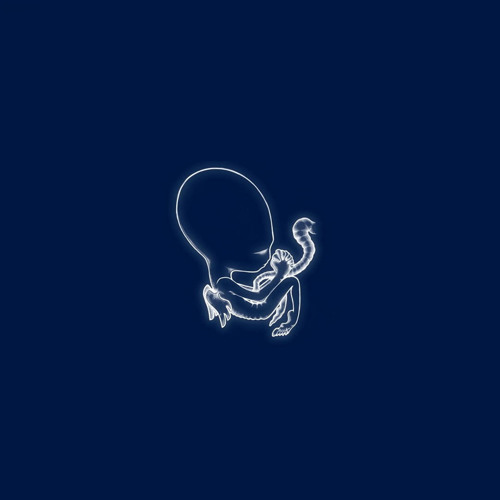 Sigur Rós improv. (Vaka / Ágætis byrjun)
