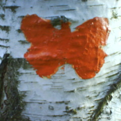 Puckstoern - die kälte frisst mich weg 2009