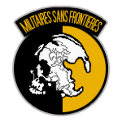 Militaires Sans Frontières