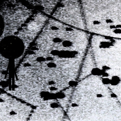 We Are Constellations