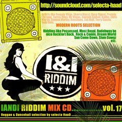 INI-RIDDIM-MIXCD Vol-17