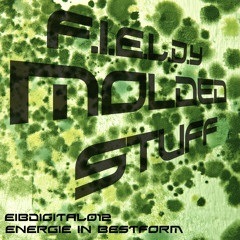 F.I.E.L.D.Y - Molded Suff   -EIBdigital012-