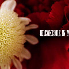 VANDVL - BREAKCORE IN MY BLOOD