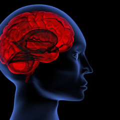 Kronos - Flashbacks [preview]