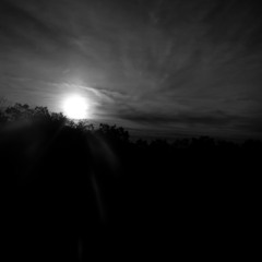 I was a Just a Shadow in Your Sunlight