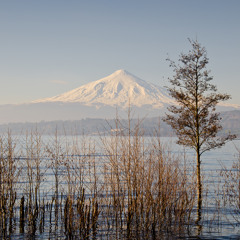 Killing Me Inside [Acoustic]