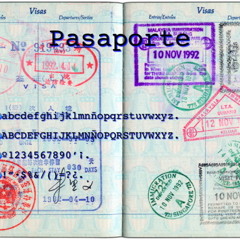 Pasaportes al Vuelo