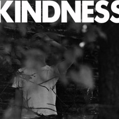Kindness - Swinging Party (Navid's Naive Edit)