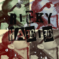 Vibez Official Mixtape by DJ RICKY HABIB !