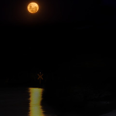 Love and Affection (Carl Witt Remix)