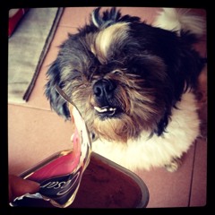 Fish Leong- fen shou kuai le