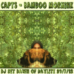 dj pi-rated - bamboo mornink
