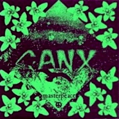 G-ANX -The Narrow Path