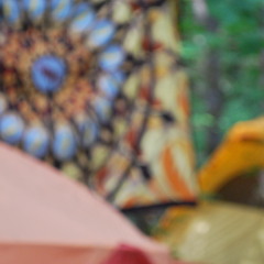 Summer Leafs to Autumn Breeze