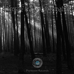 Forest Freak - Serbian Psycho  155 Bpm ( Released on EP ->Cybermatics<- By PsyMoon Records )