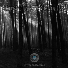 Forest Freak - C11H15NO2 150 BPM ( Released on EP ->Cybermatics<- By PsyMoon Records )